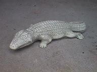 Krokodil es 004