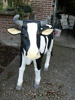 hoofd koe rechtop es